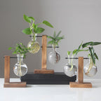 Glass Desktop Planter Bulb Vase Wooden Stand Hydroponic Plant Container Home Tabletop Decor Vases
