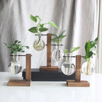 Glass Desktop Planter Bulb Vase Wooden Stand Hydroponic Plant Container Home Tabletop Decor Vases
