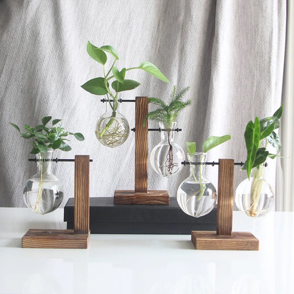 Glass Desktop Planter Bulb Vase Wooden Stand Hydroponic Plant Container Home Tabletop Decor Vases