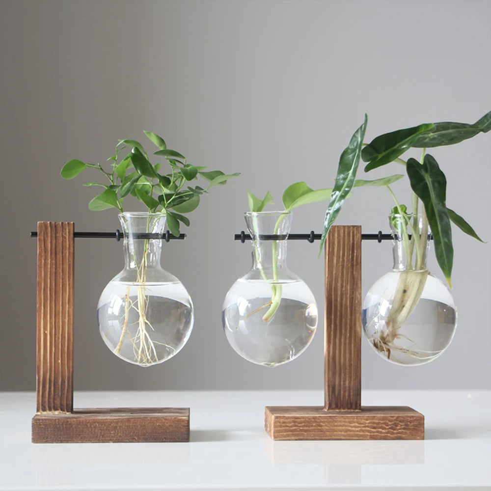 Glass Desktop Planter Bulb Vase Wooden Stand Hydroponic Plant Container Home Tabletop Decor Vases