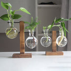 Glass Desktop Planter Bulb Vase Wooden Stand Hydroponic Plant Container Home Tabletop Decor Vases