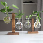 Glass Desktop Planter Bulb Vase Wooden Stand Hydroponic Plant Container Home Tabletop Decor Vases