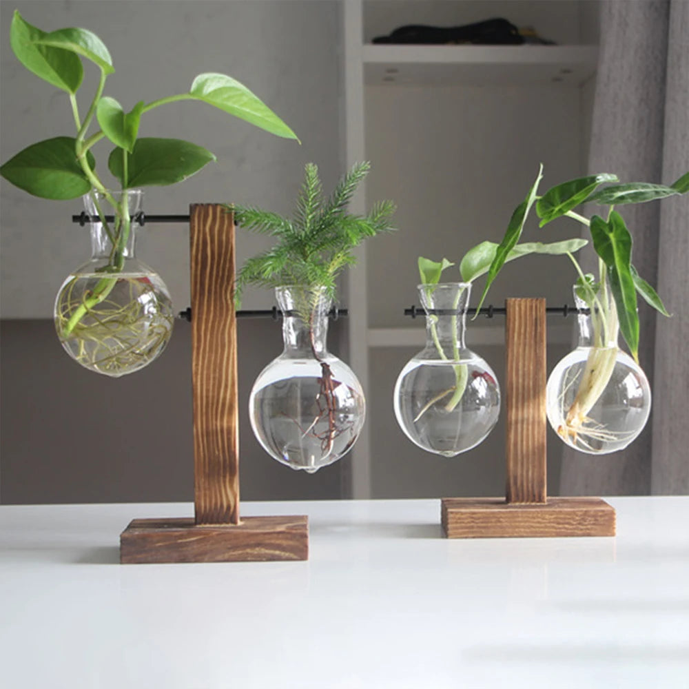 Glass Desktop Planter Bulb Vase Wooden Stand Hydroponic Plant Container Home Tabletop Decor Vases